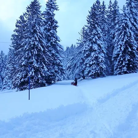 Chaleureux A Avec Vue Sur Montagne *