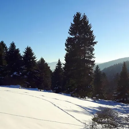 Chaleureux A Avec Vue Sur Montagne