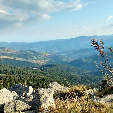 Chaleureux A Avec Vue Sur Montagne *