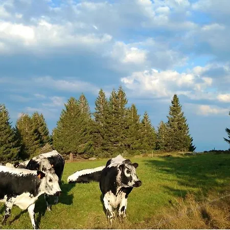 Chaleureux A Avec Vue Sur Montagne Soultzeren