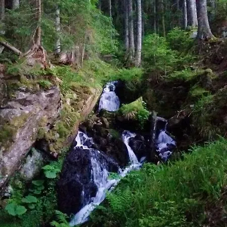 Lägenhet Chaleureux A Avec Vue Sur Montagne Soultzeren