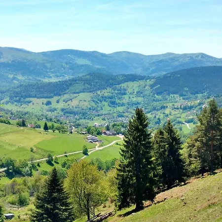 Chaleureux A Avec Vue Sur Montagne * Soultzeren