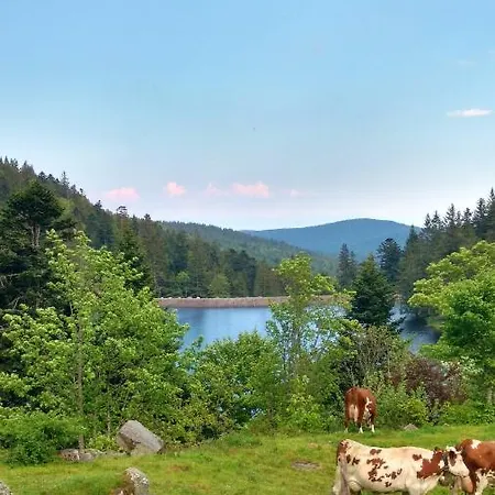 Chaleureux A Avec Vue Sur Montagne Lägenhet Soultzeren