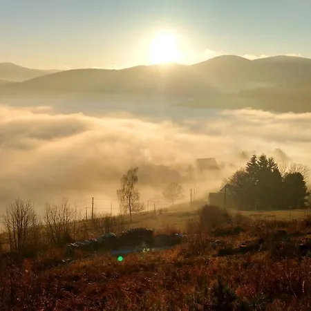 Chaleureux A Avec Vue Sur Montagne * Soultzeren