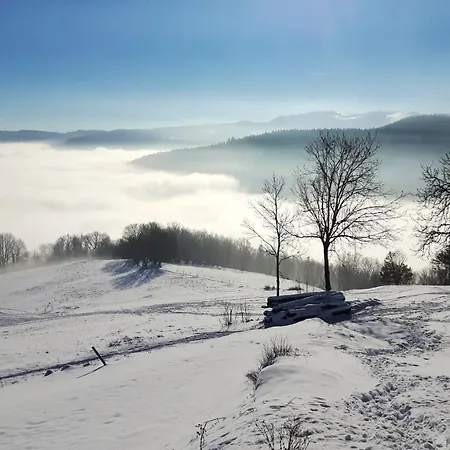 Chaleureux A Avec Vue Sur Montagne Lägenhet Soultzeren