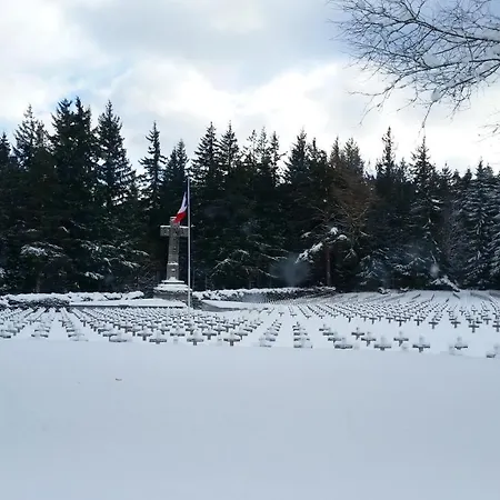 Chaleureux A Avec Vue Sur Montagne Soultzeren