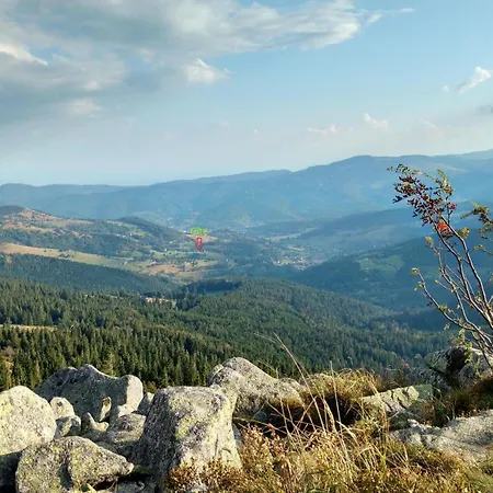 Chaleureux A Avec Vue Sur Montagne *