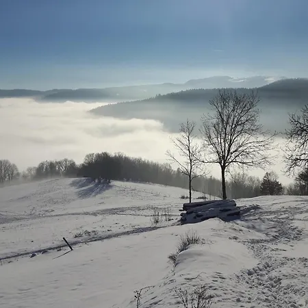 Chaleureux A Avec Vue Sur Montagne * Soultzeren