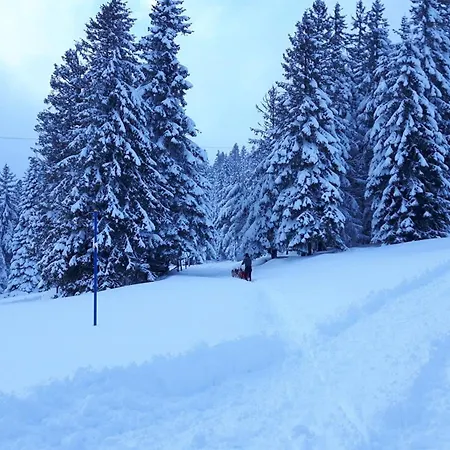 Chaleureux A Avec Vue Sur Montagne דירה