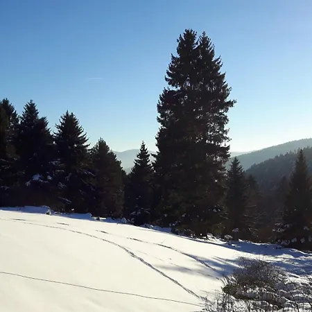 דירה Chaleureux A Avec Vue Sur Montagne Soultzeren