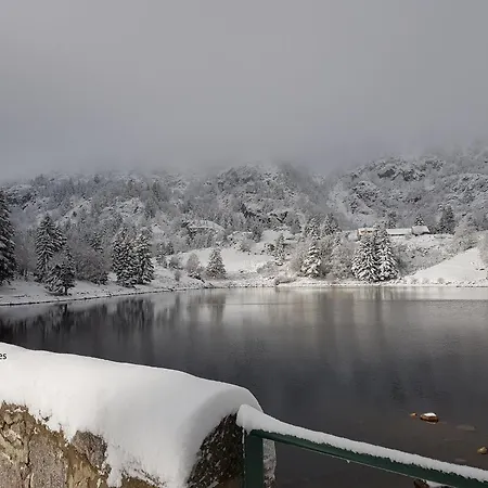 Chaleureux A Avec Vue Sur Montagne Soultzeren