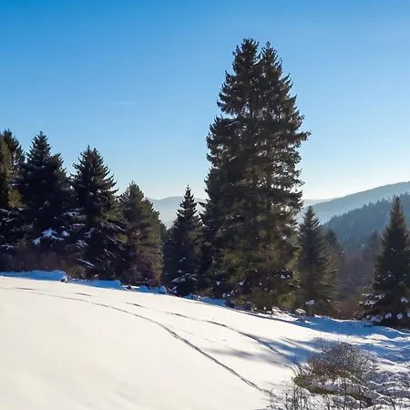 Appartement De 2 Avec Jardin Amenage Et Wifi A A 3 Km Des Pistes